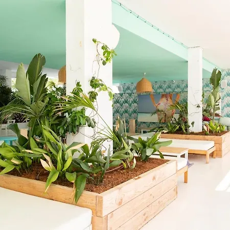 Aparthotel Star Ibiza (adults Only) San Antonio (Ibiza)